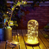 Fantasy Copper Wire LED Lights (Waterproof)