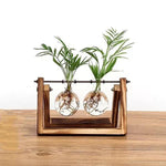 Glass Bulb Vase Set w\/ Wooden Stand