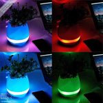 Smart Touch Music Flower Pot