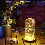 Fantasy Copper Wire LED Lights (Waterproof)