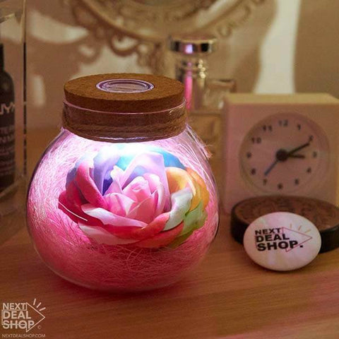 Remote Control LED Rose Jar